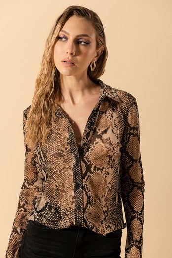 Negro/Camel