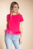 Imagen de Blusa Detalle Plumas       (Exclusiva Pagina)