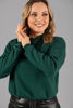 Imagen de Sweater Basico Cuello Alto    (Esclusivo Pagina)
