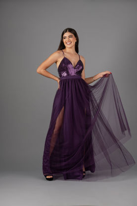 Imagen de Maxi Dress Tull, Top Lentejuelas   (Exclusivo Pagina)