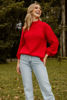 Imagen de Sweater Cuello Alto