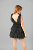Imagen de Vestido Tull Con Brillo Vuelos