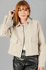Imagen de Jacket Cuello, Bolsillos Tapas     (Exclusivo Pagina)