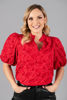 Imagen de Blusa Mangas Balloon Cuello Chino