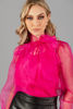 Imagen de Blusa Organza Manga Larga, Nudo Cuello