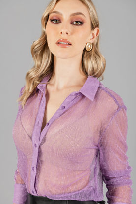 Imagen de Blusa Camisera Trasparente  Brillo     (Exclusiva Pagina)