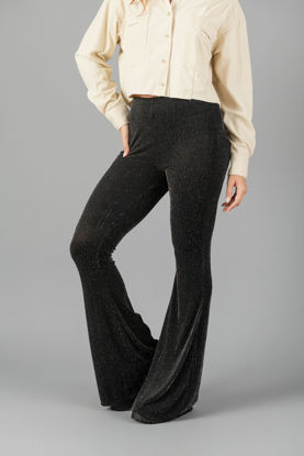 Imagen de Pantalon Brillo, Bota Campana