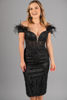 Imagen de Vestido Off Shoulder, Detalle Plumas