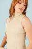 Imagen de Top Cuello Alto Brillo     (Exclusivo Pagina)