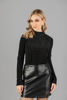 Imagen de Blusa Cuello Alto Brillo     (Exclusiva Pagina)