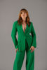 Imagen de Set Blazer  Pantalón