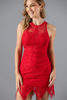 Imagen de Vestido Encaje, Abertura Espalda     (Exclusivo Pagina)