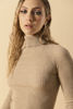 Imagen de Top Cuello ALto    (Exclusiva Pagina)