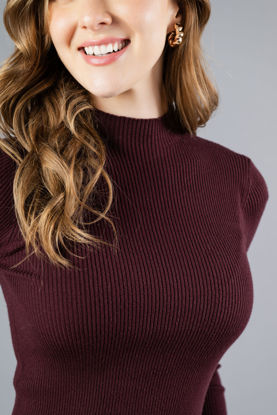 Imagen de Vestido Tejido Cuello Alto Estilo Lapiz
