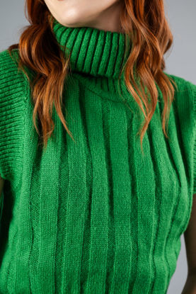 Imagen de Blusa Tejida, Cuello Tortuga Sin Mangas  ( Exclusivo pagina )