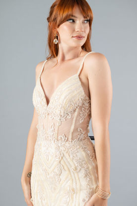 Imagen de Maxi Dress Corce Aplicación , Falda Tull