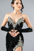 Imagen de Maxi Dress Lentejuelas, Guantes