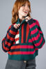 Imagen de Sweater En Rayas, Zipper Frente