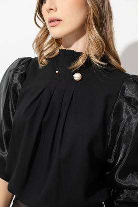 Imagen de Blusa Cuello Alto, Mangas Trasparentes