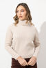 Imagen de Sweater Cuello Alto