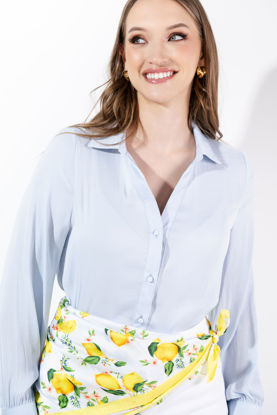 Imagen de Blusa Camisera Manga Larga