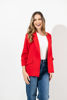 Imagen de Blazer Manga 3 / 4