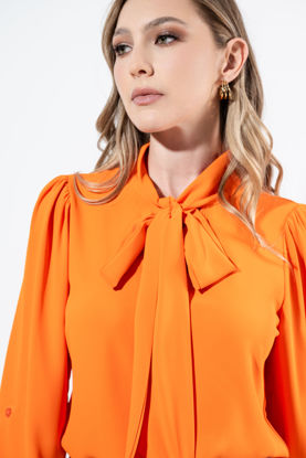 Imagen de Blusa Manga Larga Lazo Cuello